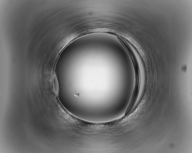 X0000099571193200805161509