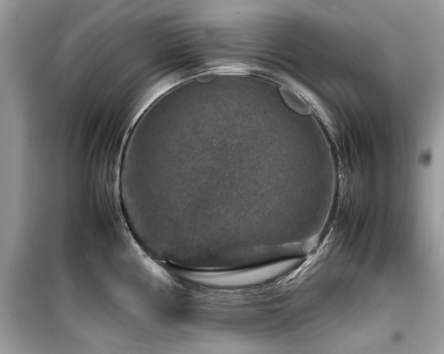 X0000099571194200805161509