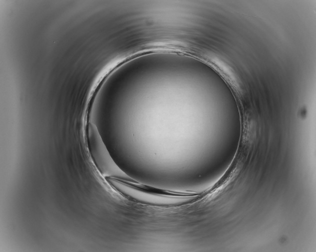 X0000099571196200805161509