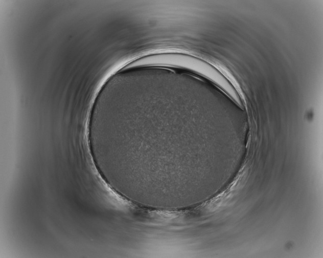 X0000099571197200805161509