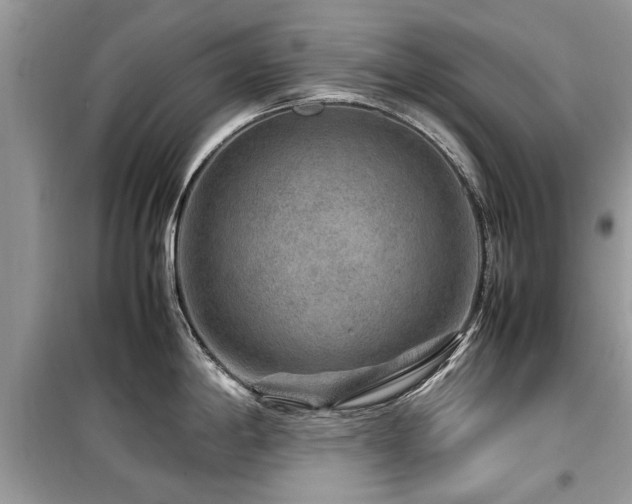 X0000099571198200805161509
