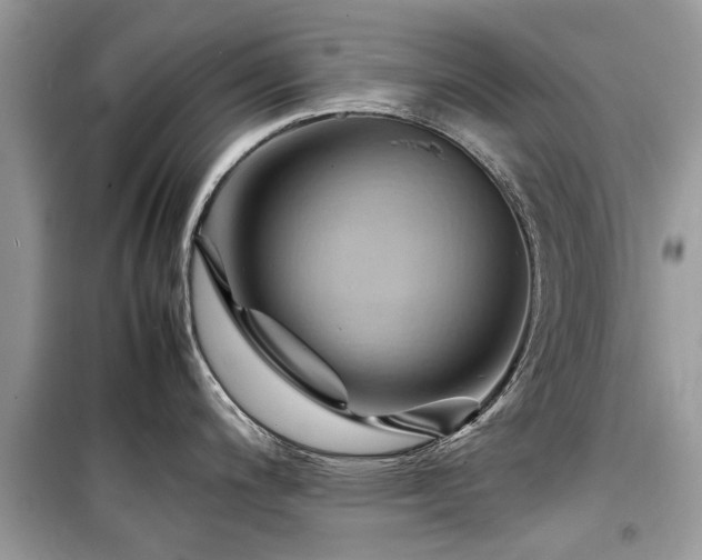 X0000099571200200805161509
