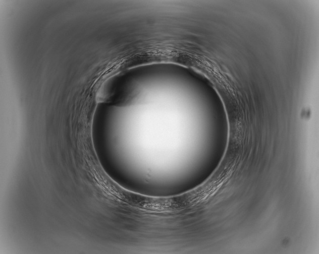 X0000099571201200805161509