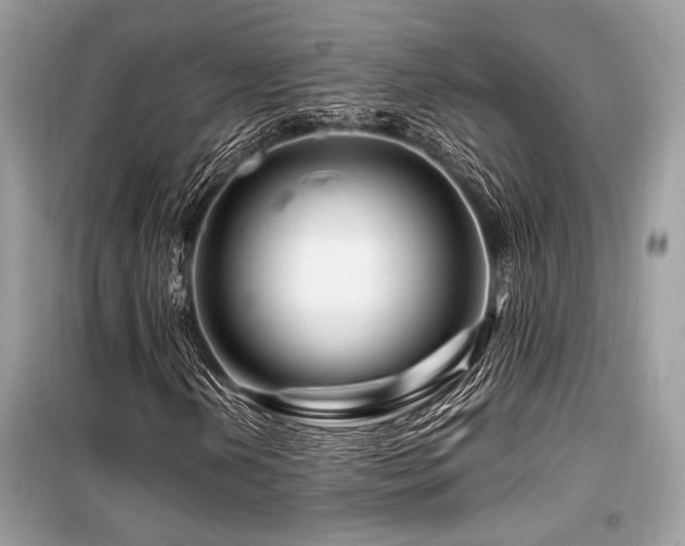 X0000099571202200805161509