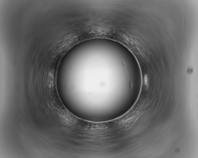 X0000099571203200805161509