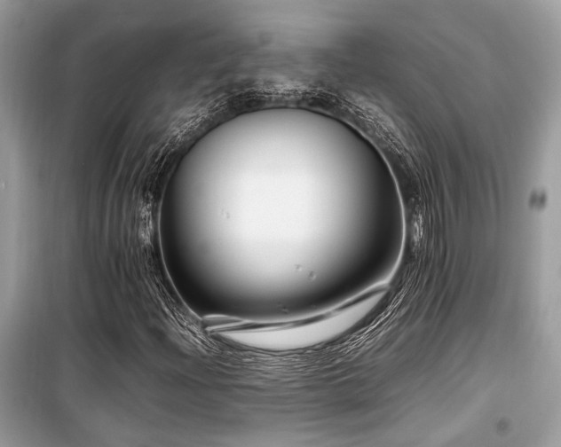 X0000099571204200805161509