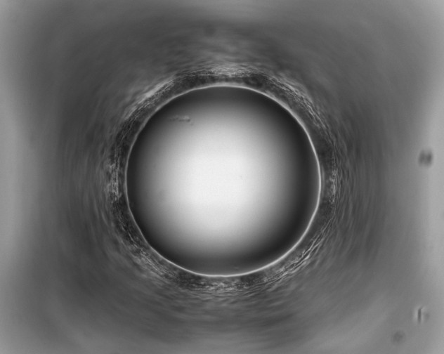 X0000099571205200805161509