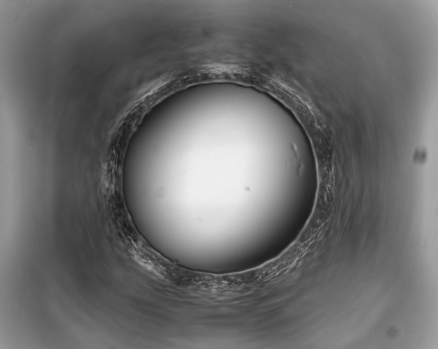 X0000099571207200805161509