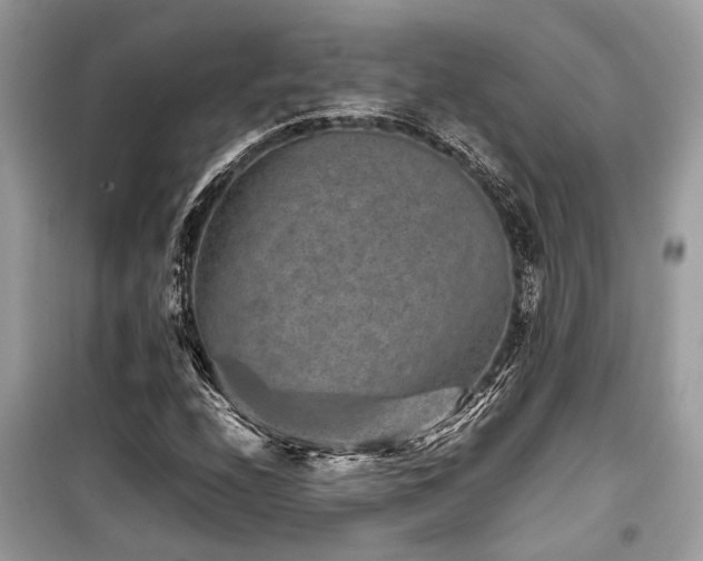 X0000099571208200805161509