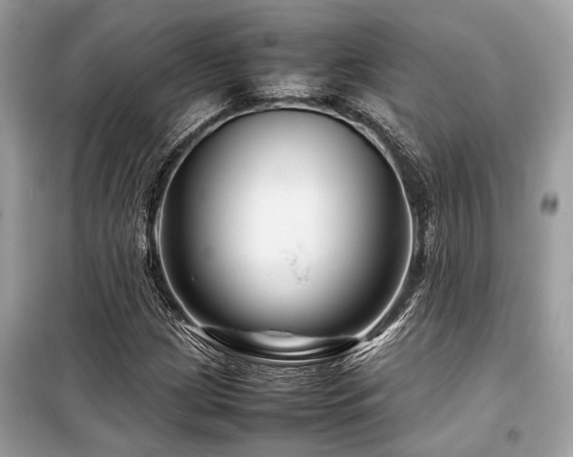 X0000099571209200805161509