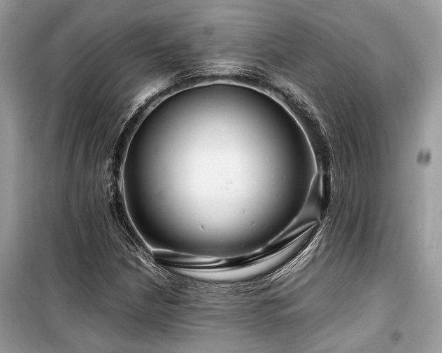 X0000099571210200805161509