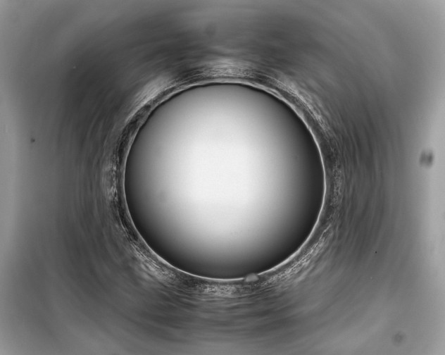 X0000099571211200805161509