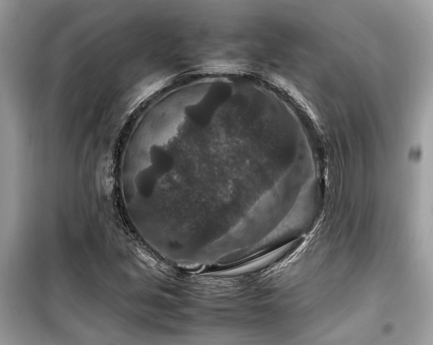 X0000099571213200805161509