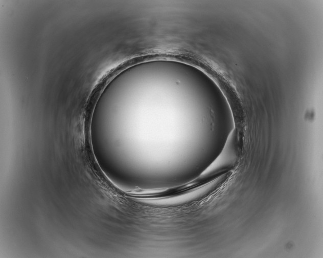 X0000099571214200805161509