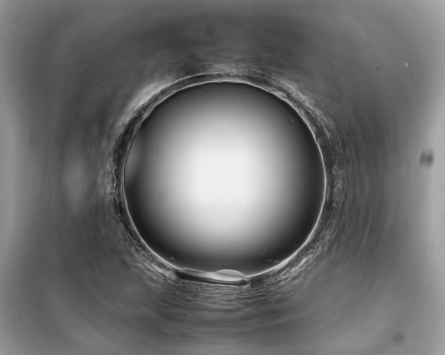 X0000099571215200805161509