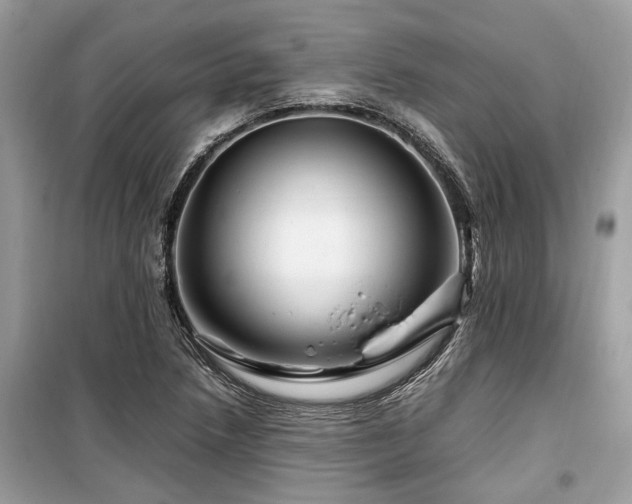 X0000099571218200805161509