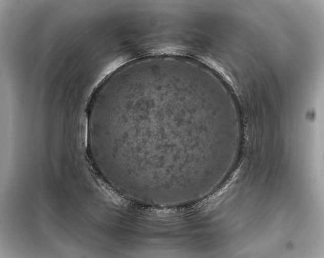 X0000099571219200805161509