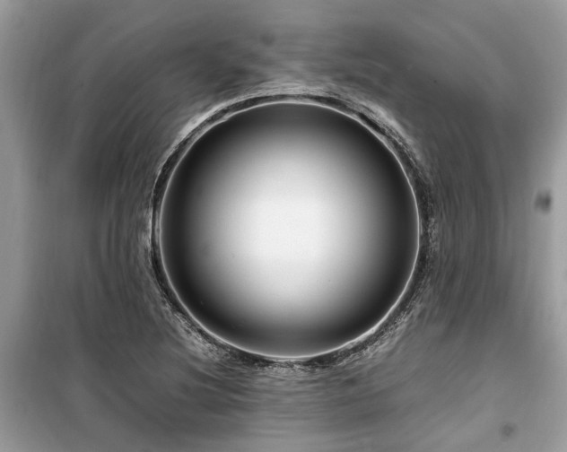 X0000099571220200805161509
