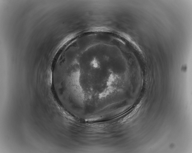 X0000099571221200805161509