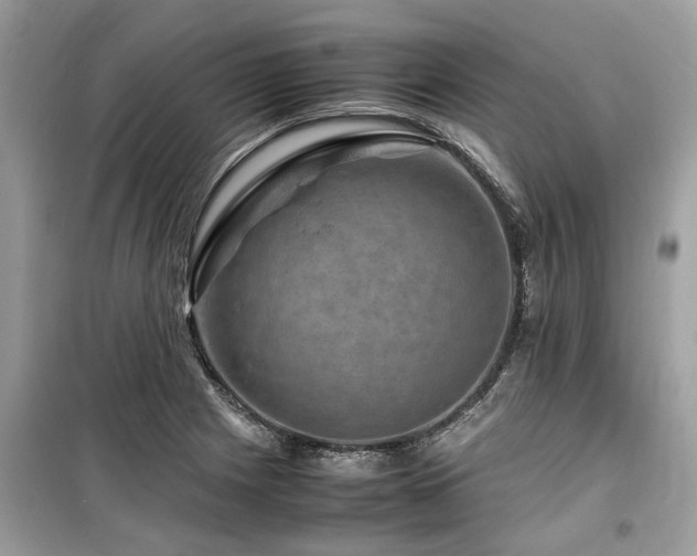 X0000099571225200805161509