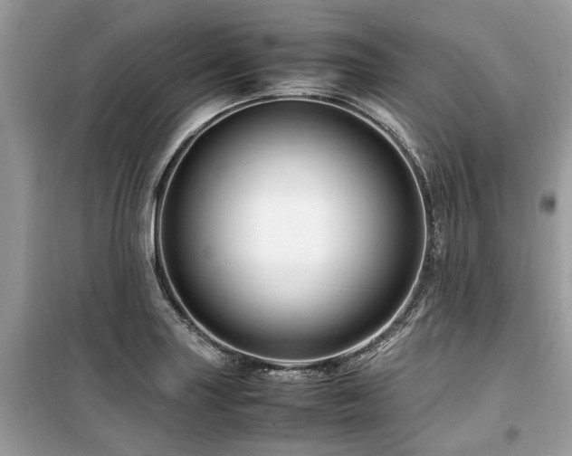 X0000099571227200805161509