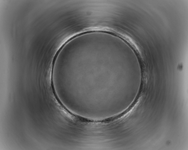X0000099571228200805161509