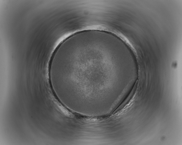 X0000099571230200805161509