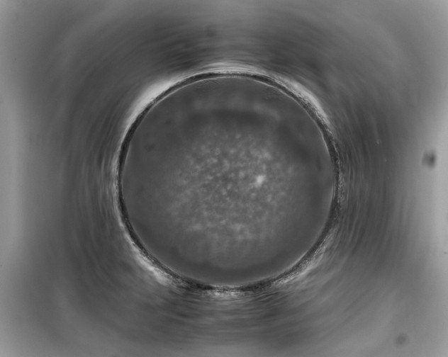 X0000099571231200805161509