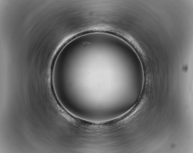 X0000099571232200805161509