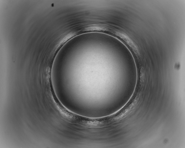 X0000099571233200805161509
