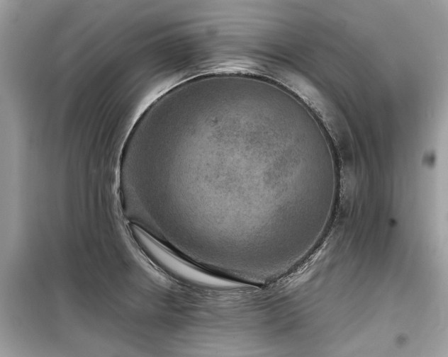 X0000099571234200805161509