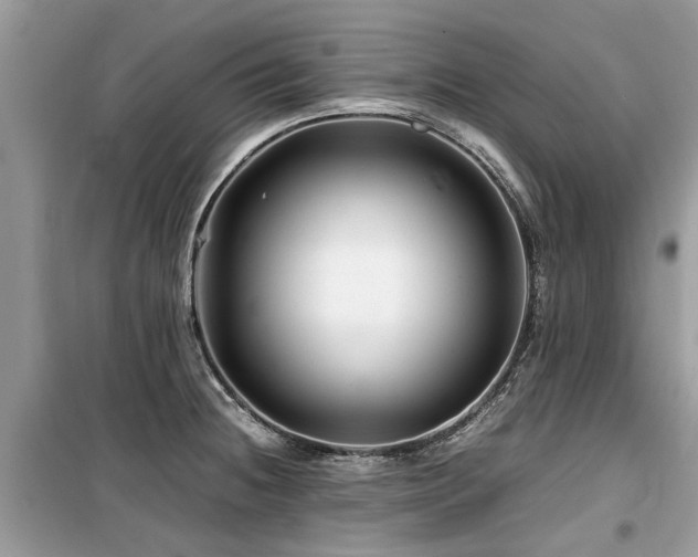 X0000099571236200805161509