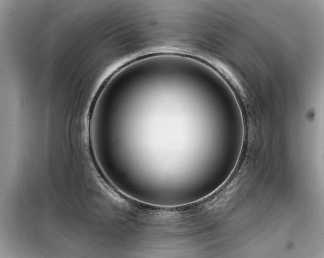 X0000099571238200805161509