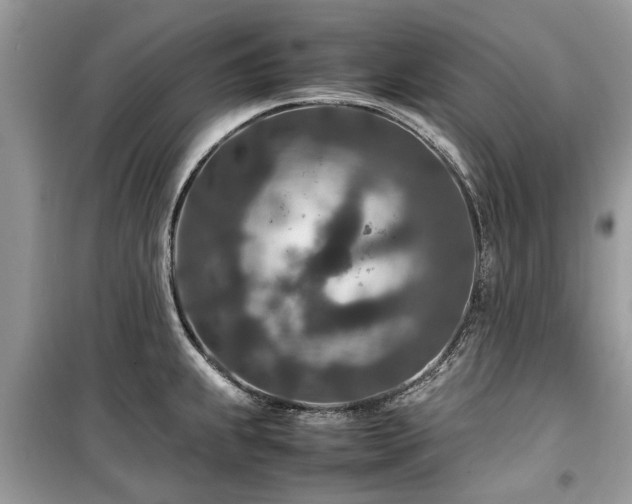 X0000099571239200805161509