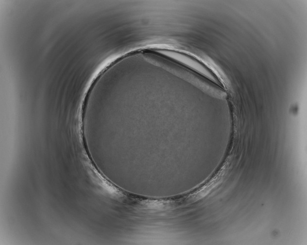 X0000099571240200805161509