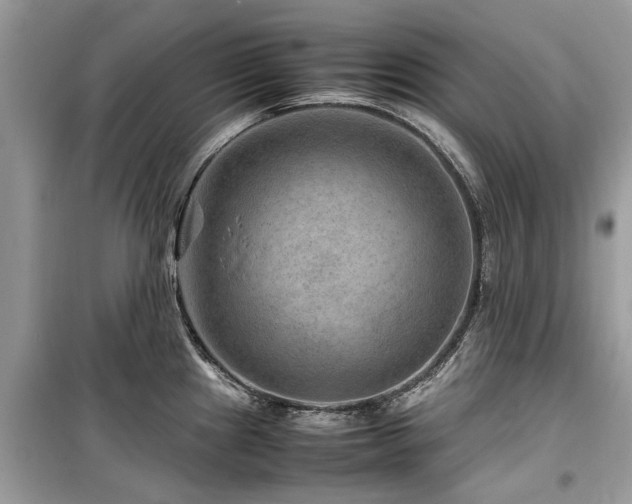 X0000099571241200805161509