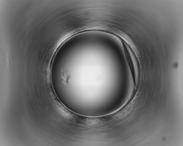 X0000099571242200805161509