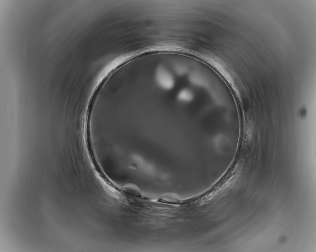 X0000099571245200805161509