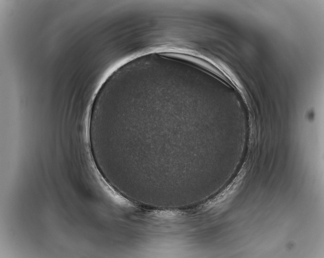 X0000099571246200805161509