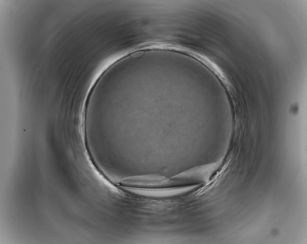 X0000099571247200805161509