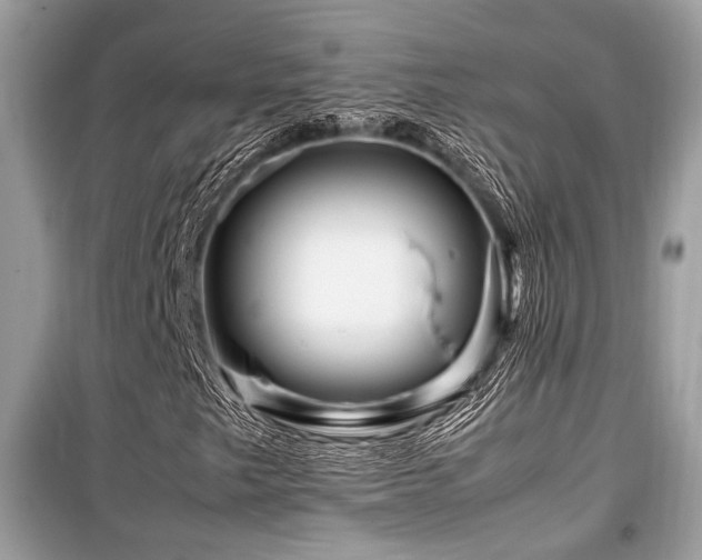 X0000099571249200805161509