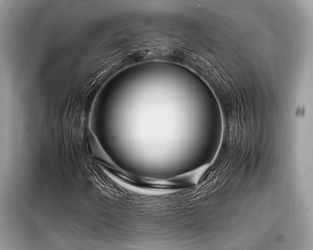 X0000099571250200805161509