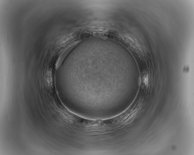 X0000099571252200805161508