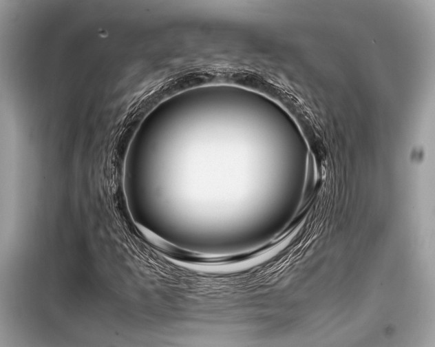 X0000099571253200805161508