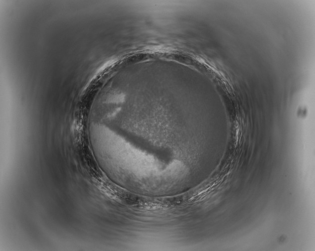 X0000099571254200805161508