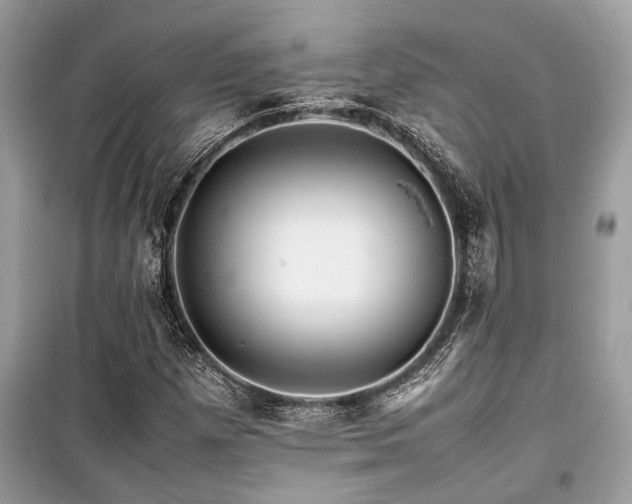 X0000099571257200805161508