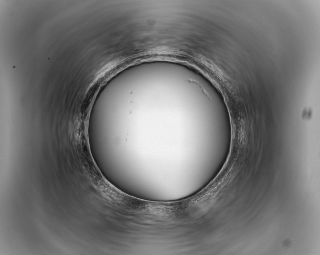 X0000099571258200805161508