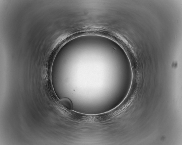 X0000099571259200805161508