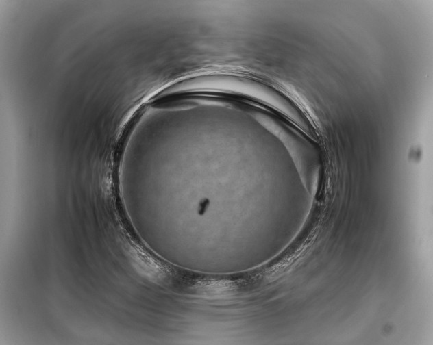 X0000099571260200805161508