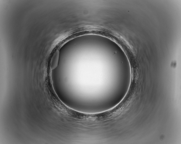 X0000099571261200805161508